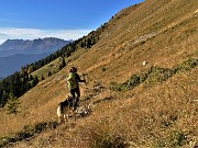 64 Dal Passo di Monte Colle (1856 m) scendiamo a Piazzatorre sul sent. 118